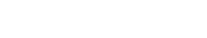 internet.nl 100%